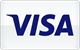 Visa card payment method accepted at AceGame Casino